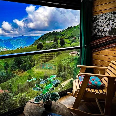 Golden Paws Guesthouse Çatalca エクステリア 写真