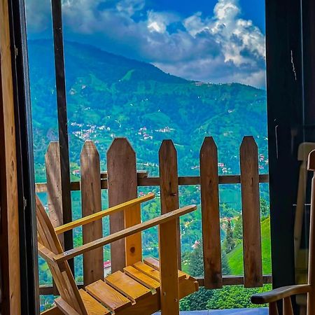 Golden Paws Guesthouse Çatalca エクステリア 写真